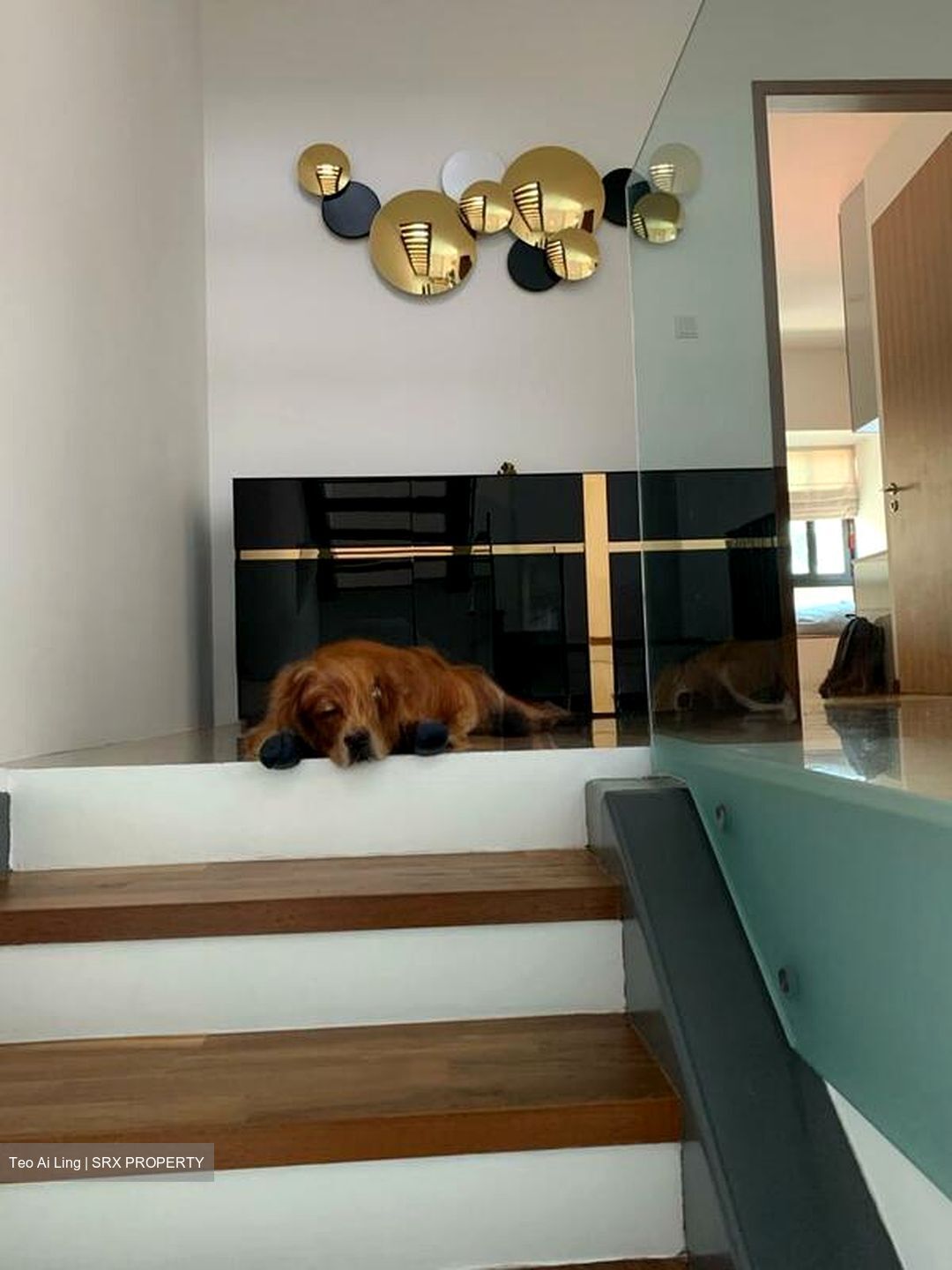 Serangoon Garden Estate (D19), Semi-Detached #508562501